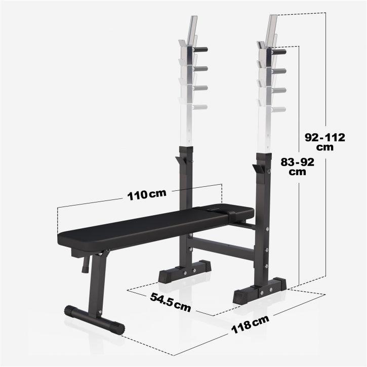 Weight Bench with Dip Station