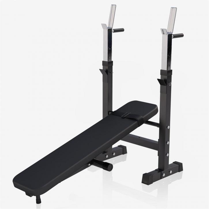 Weight Bench with Dip Station