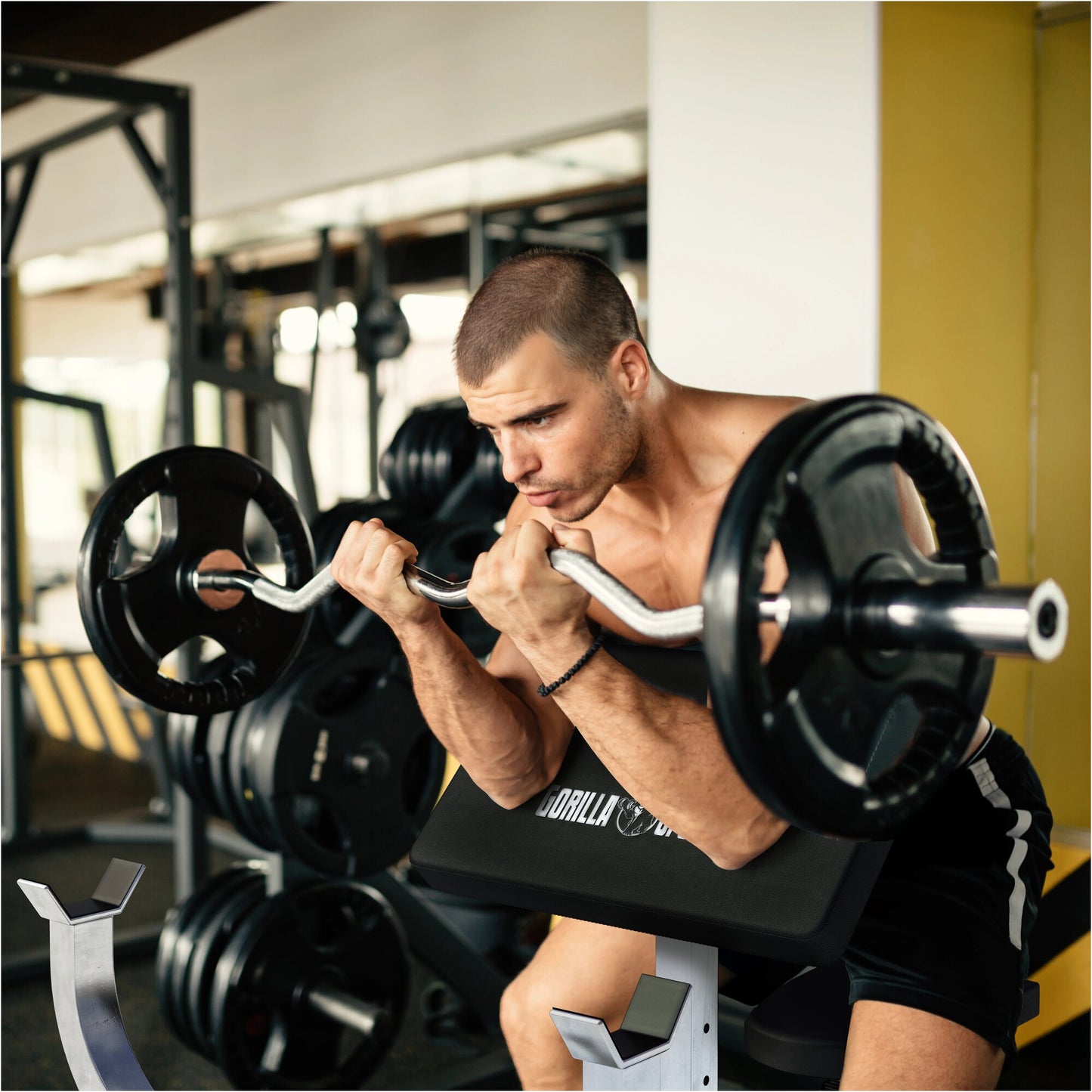 Preacher Curl Bench White/Black
