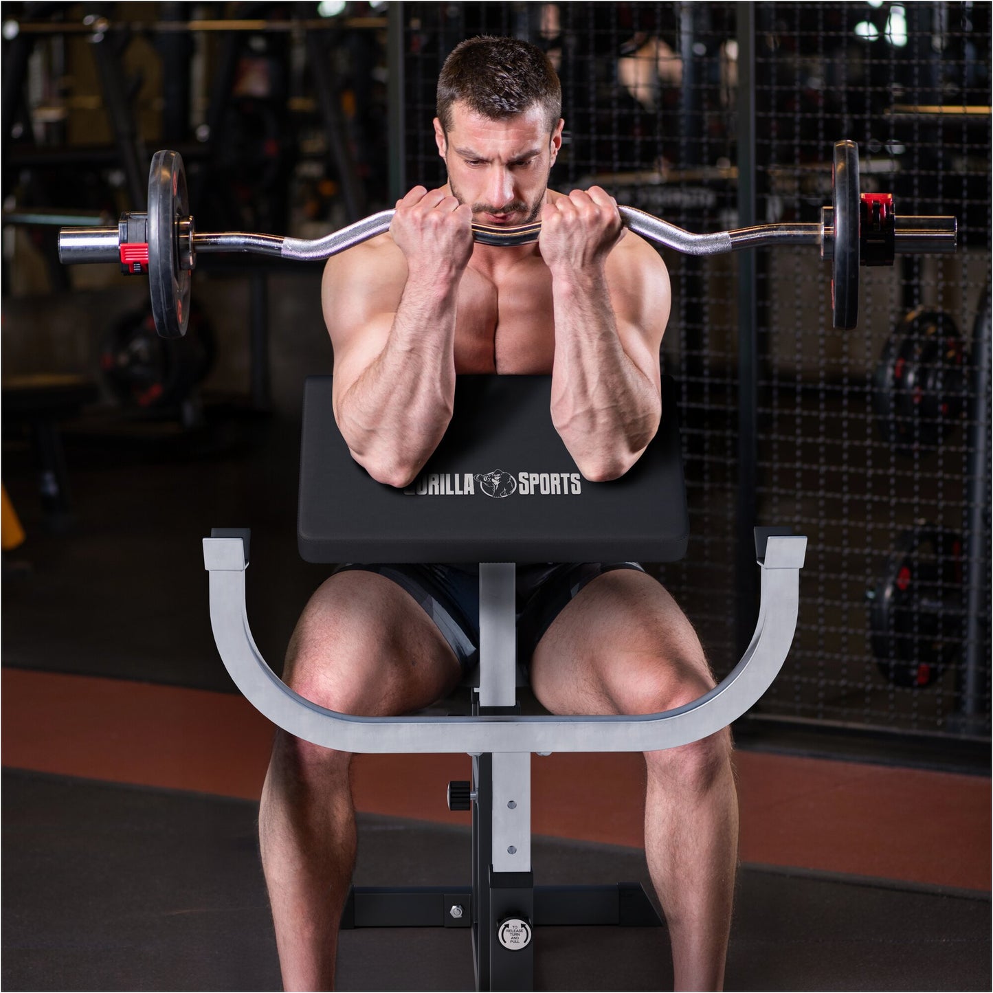 Preacher Curl Bench White/Black