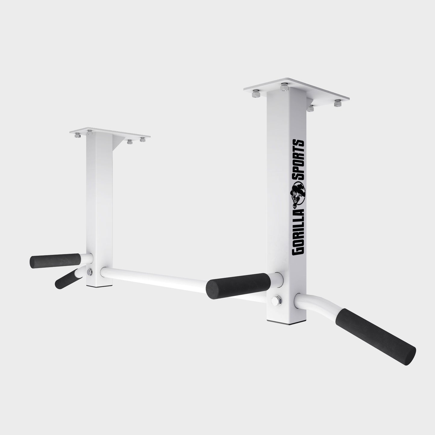Ceiling-Mounted Pull-Up Bar (Black/White)