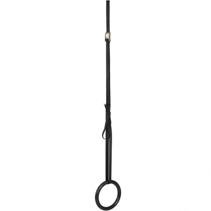 Gymnastic Rings in Plastic/Wood (Set of 2)