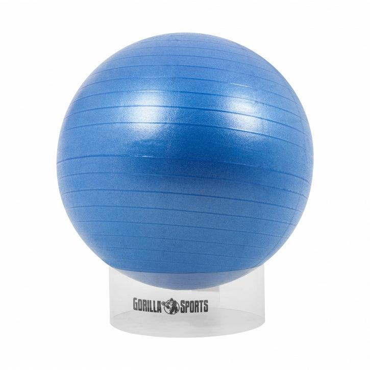 Gym Ball Holder Transparent