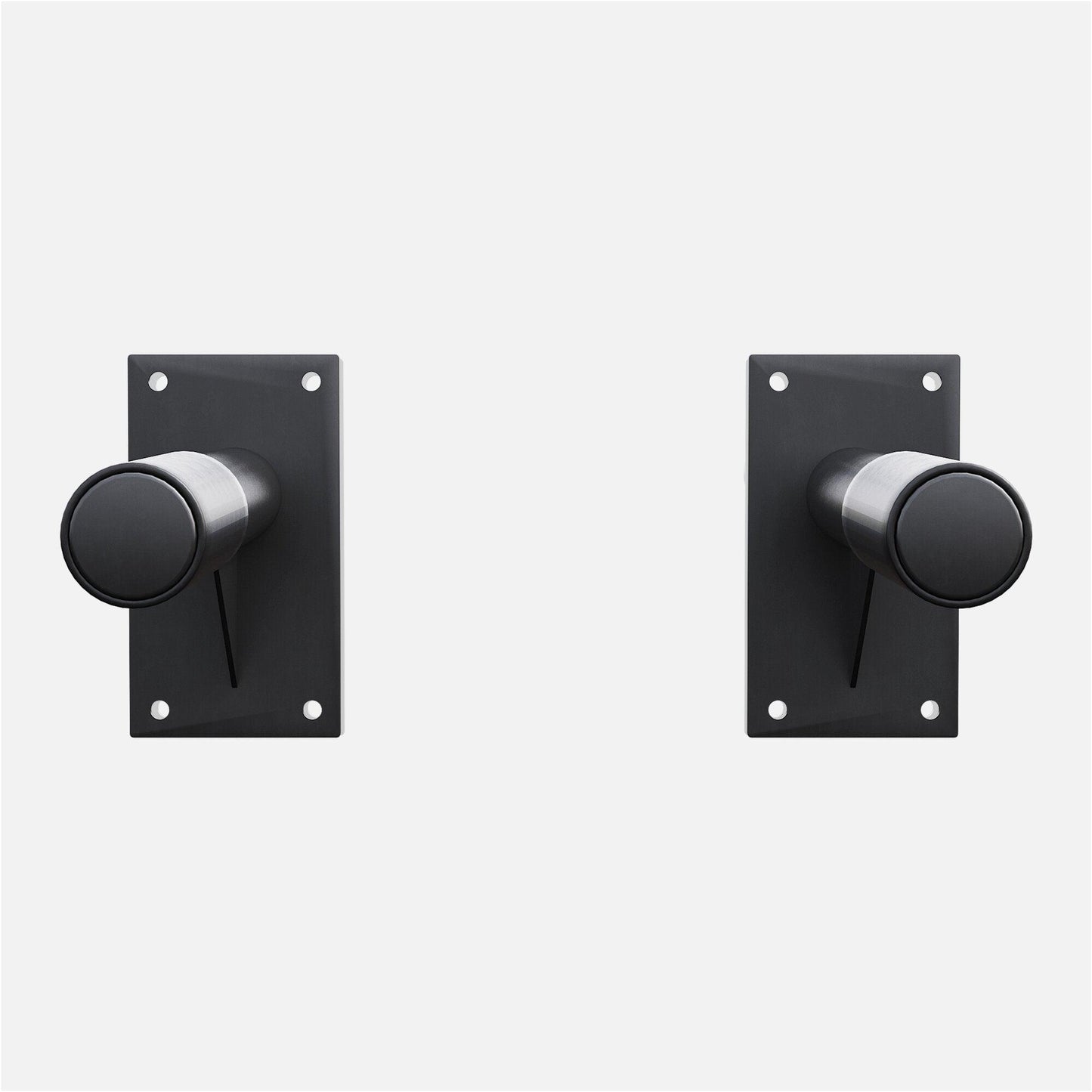 Wall Mounted Dip Bars