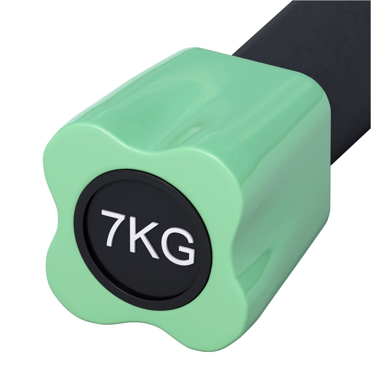 Aerobic Weight Bar 1 - 10 kg