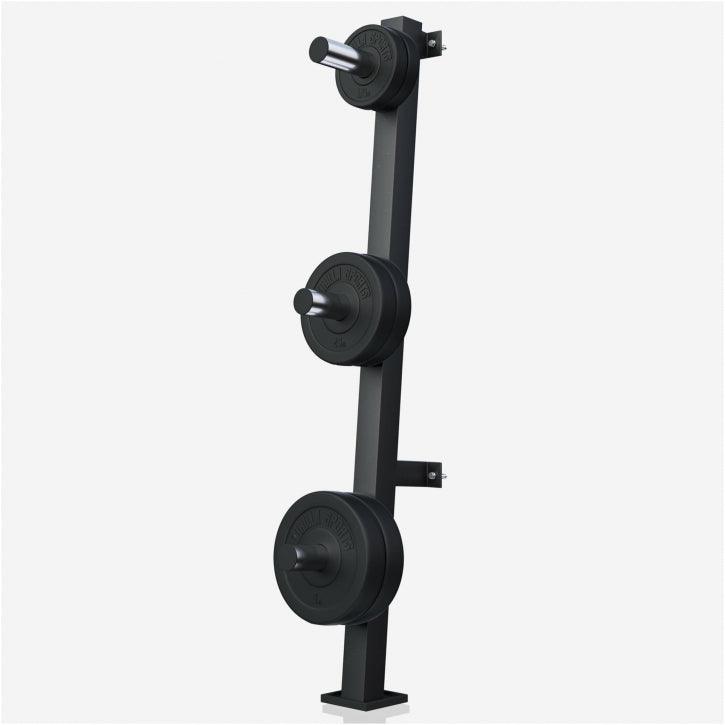 Wall Weight Plate Rack