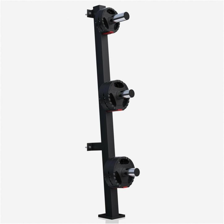 Wall Weight Plate Rack