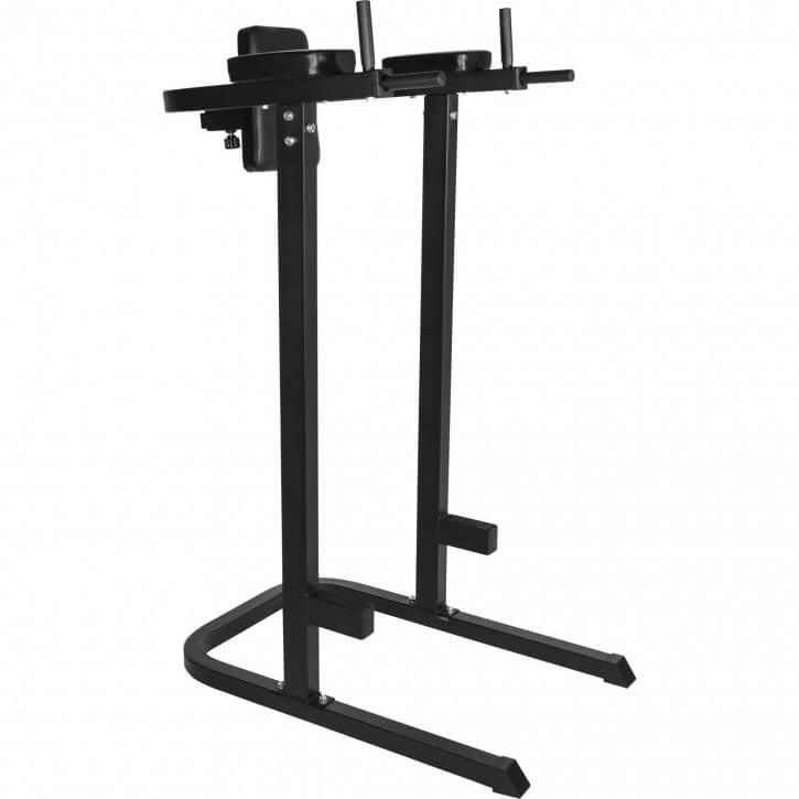 Multifunction Dip Stand