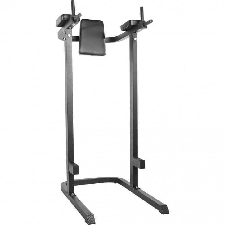 Multifunction Dip Stand