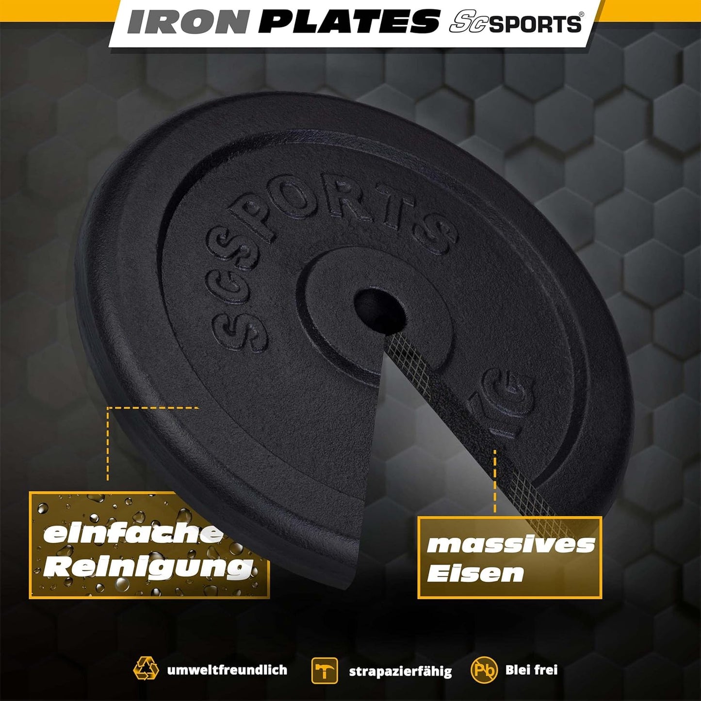 Weight Plates Cast Iron 30/31 mm