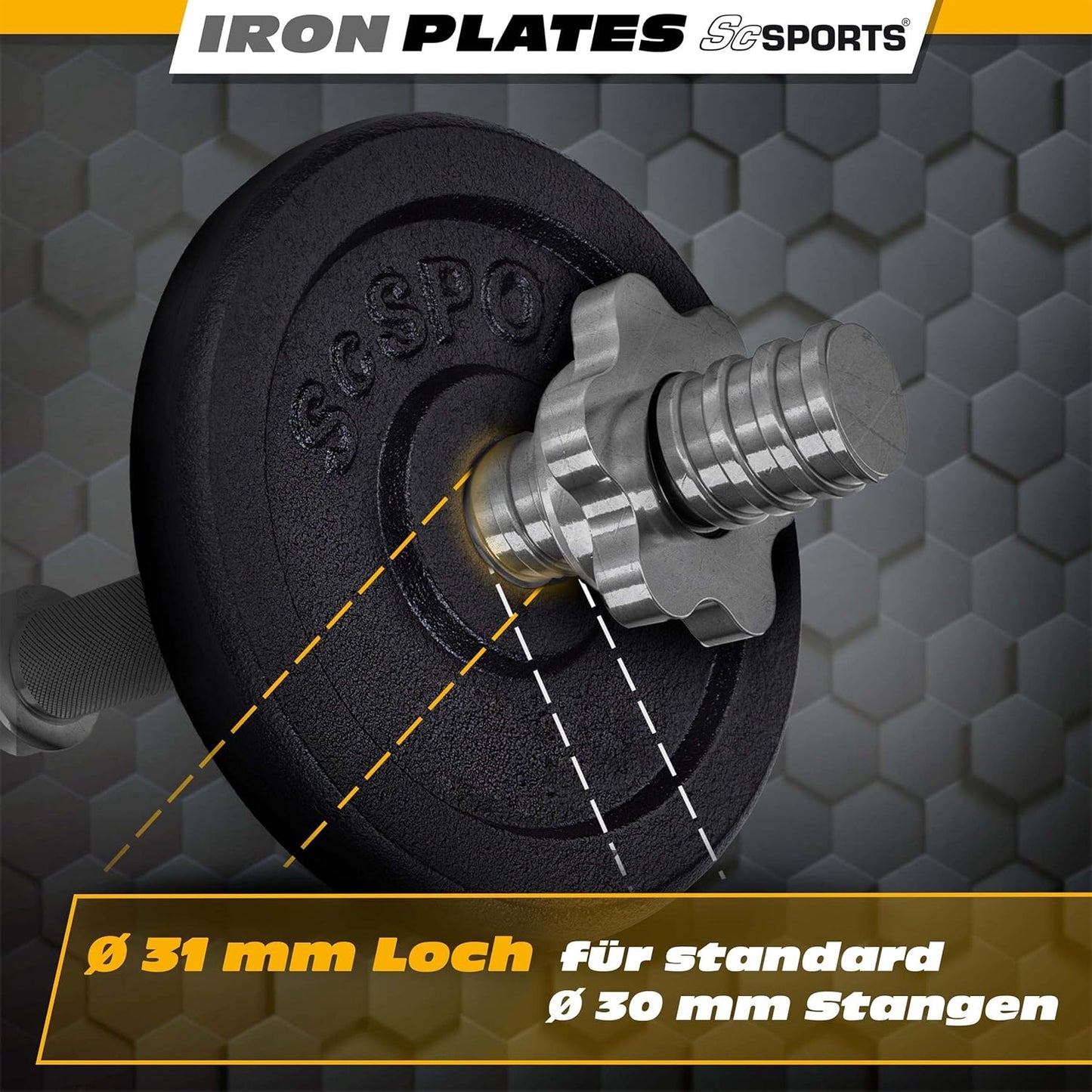 Weight Plates Cast Iron 30/31 mm