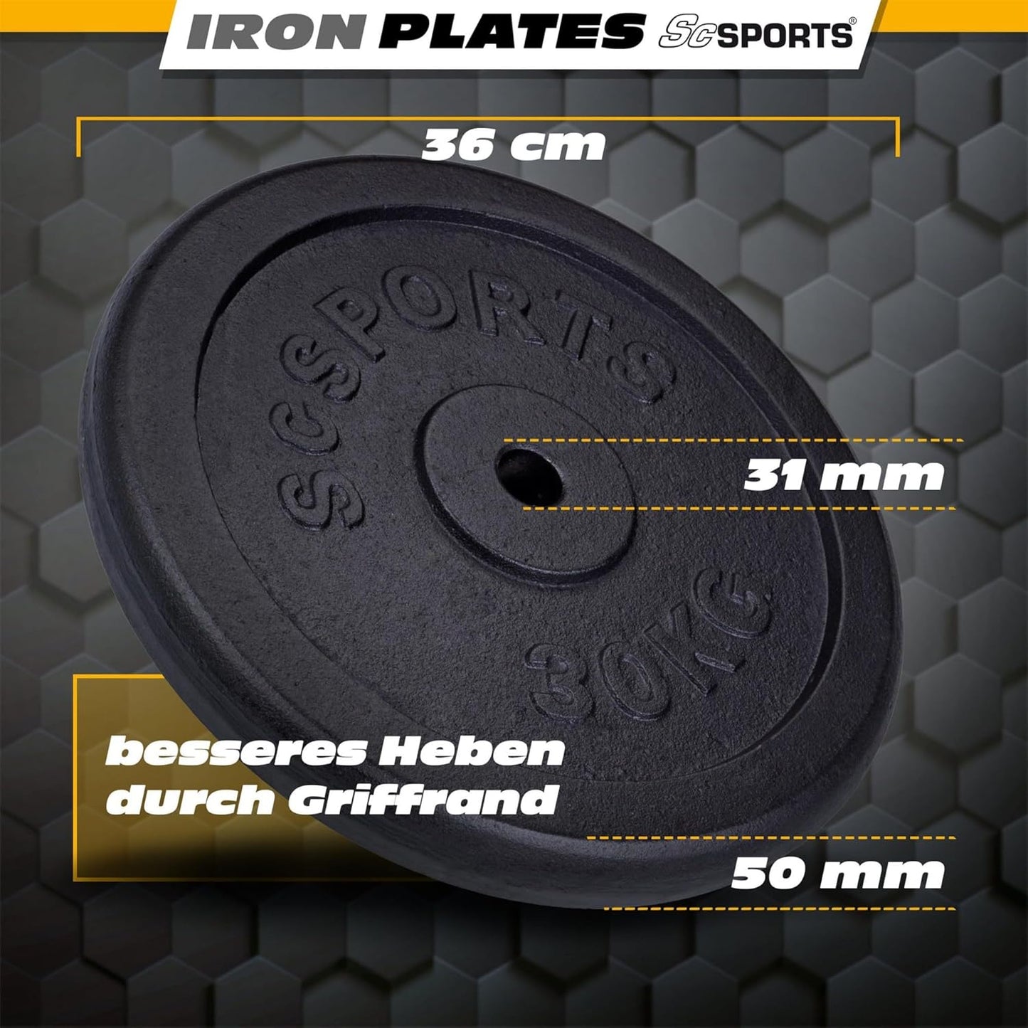 Weight Plates Cast Iron 30/31 mm