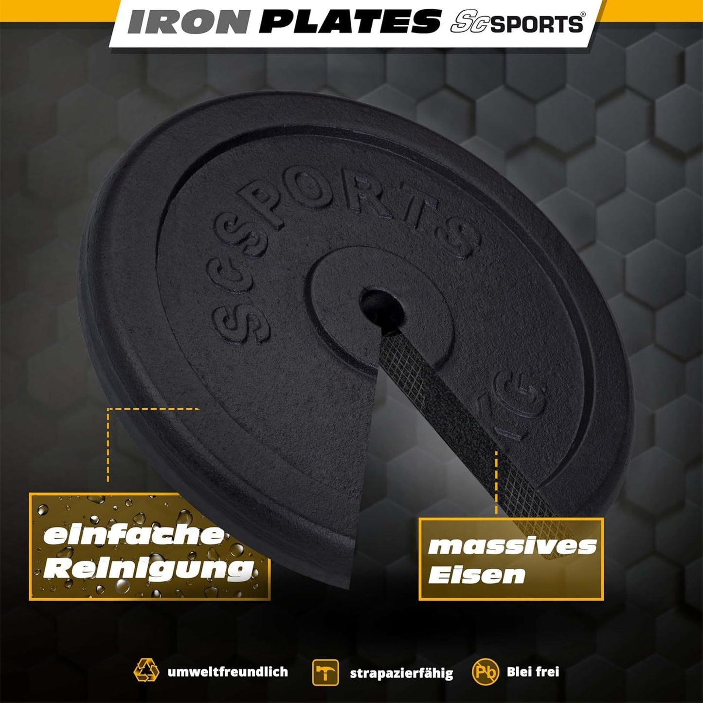 Weight Plates Cast Iron 30/31 mm