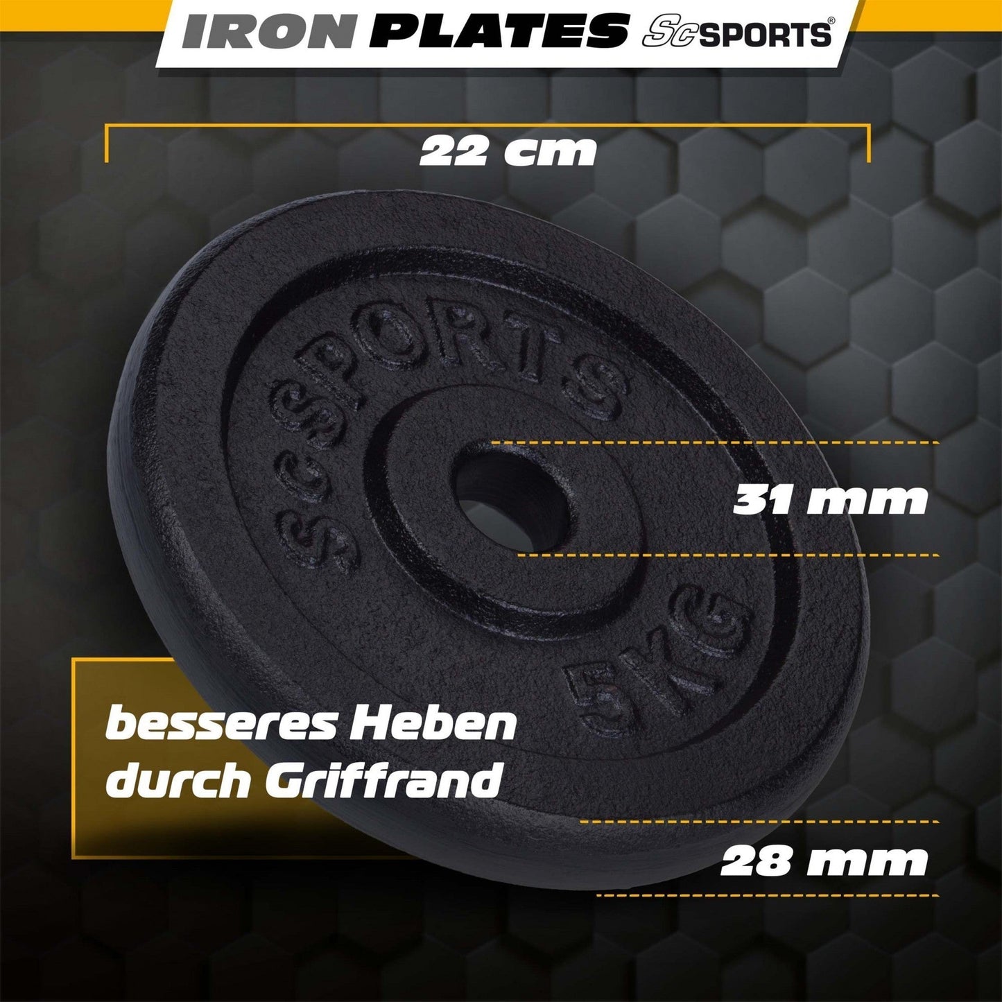 Weight Plates Cast Iron 30/31 mm 10 - 20 kg
