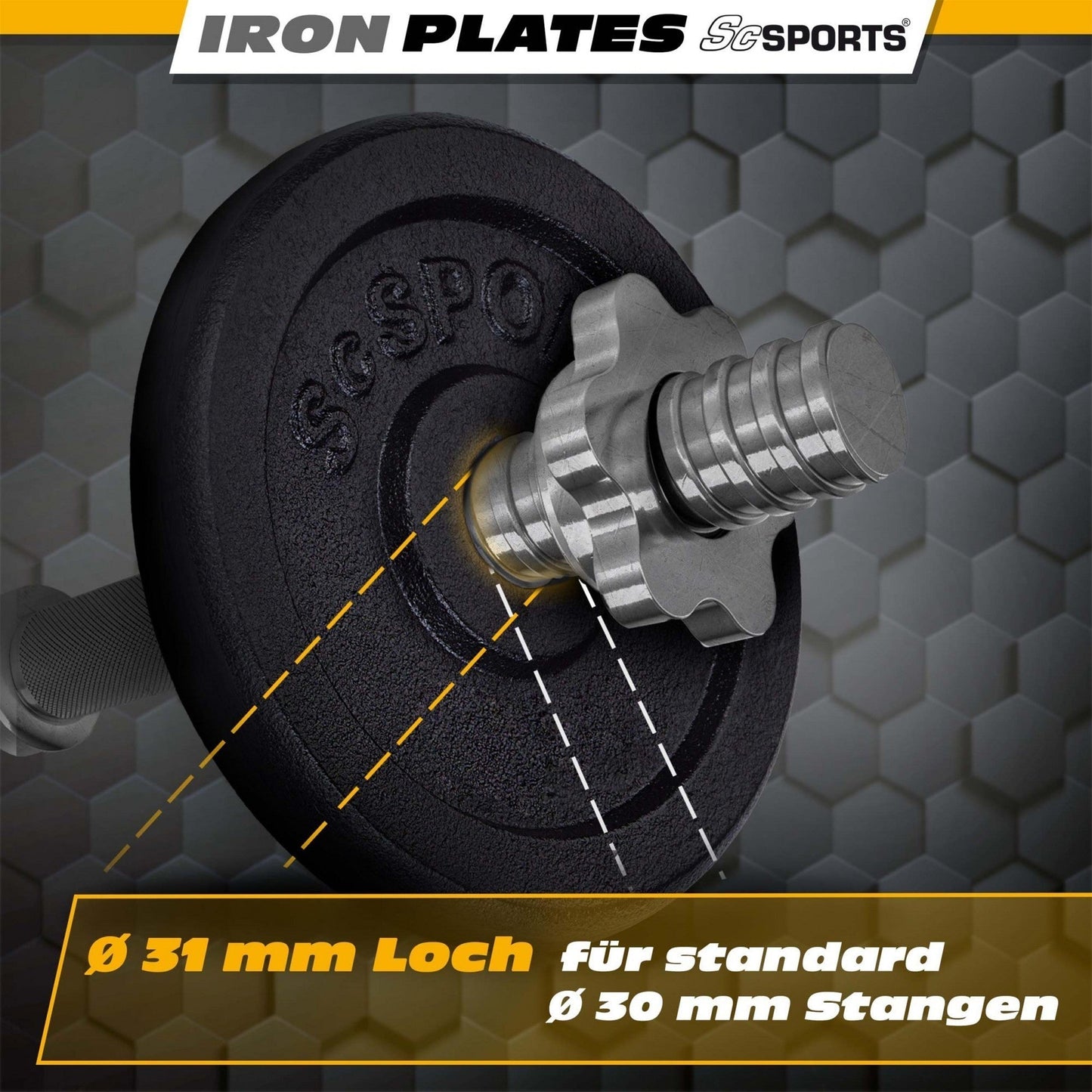Weight Plates Cast Iron 30/31 mm 10 - 20 kg