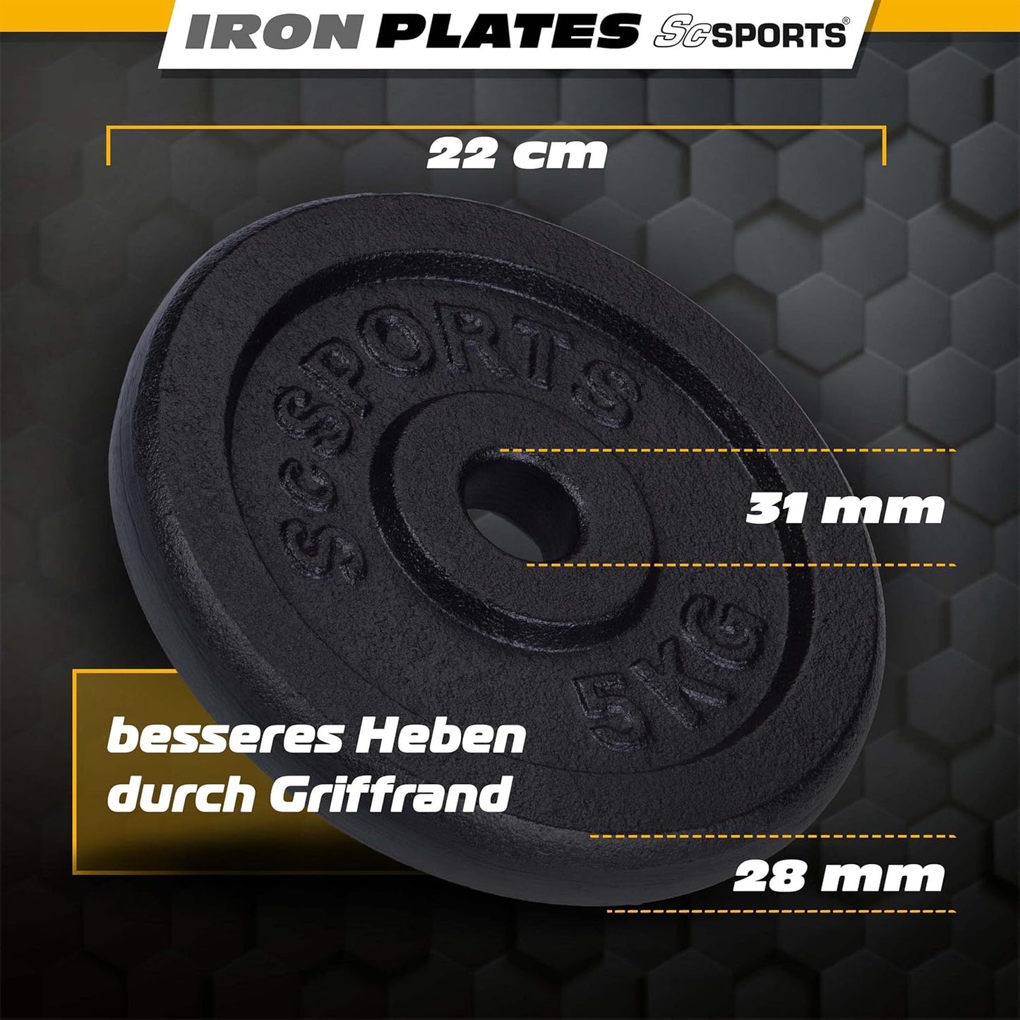 Weight Plates Cast Iron 30/31 mm 10 - 20 kg