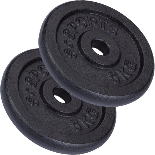 Weight Plates Cast Iron 30/31 mm 10 - 20 kg