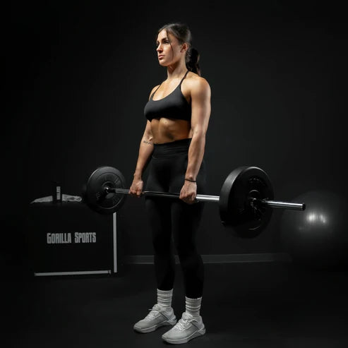Barbell in Chrome 150 cm (5 ft) with Spring Collars