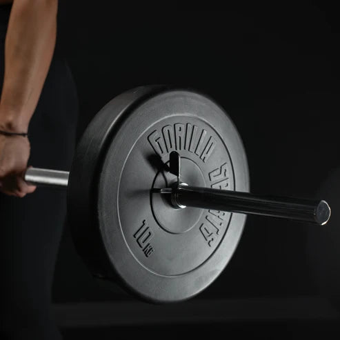 Barbell in Chrome 150 cm (5 ft) with Spring Collars