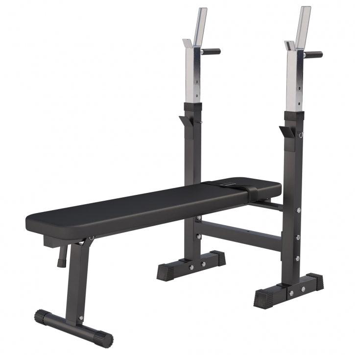 Weight Bench with Dip Station