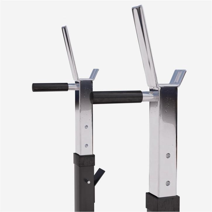 Weight Bench with Dip Station