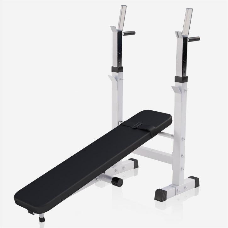 Weight Bench with Dip Station