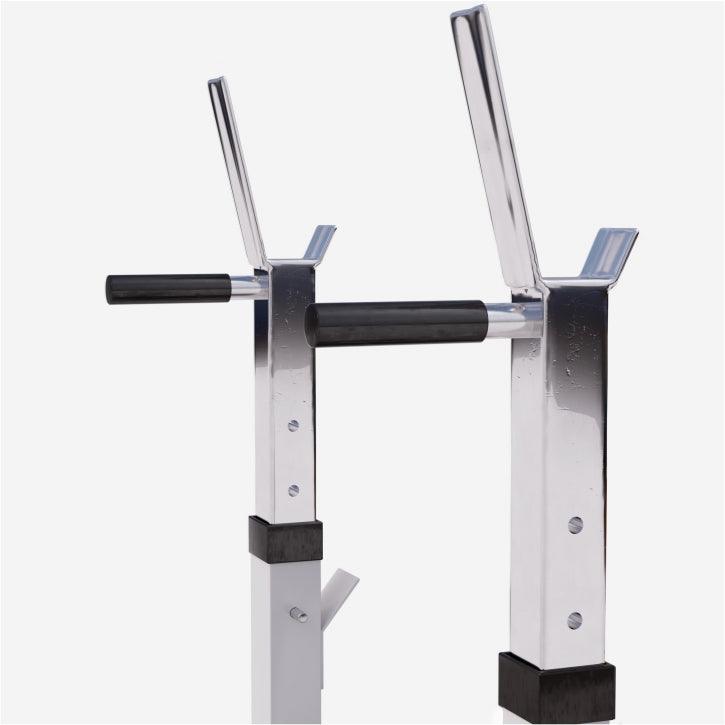 Weight Bench with Dip Station
