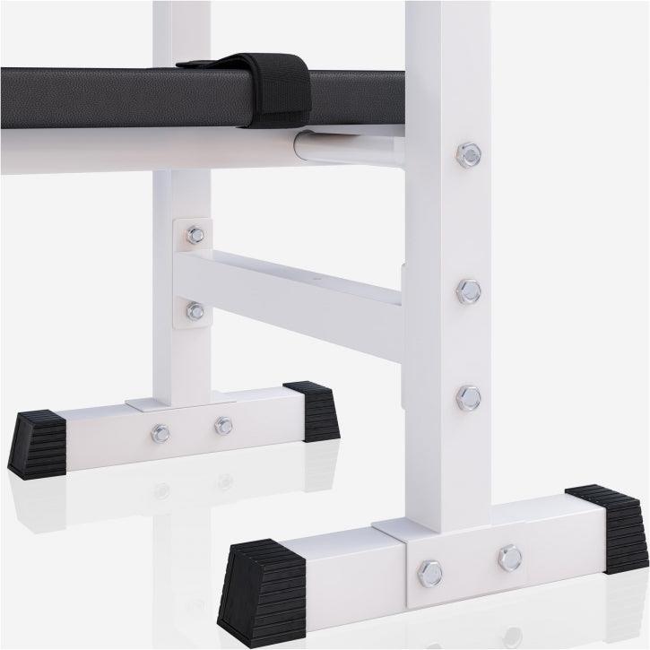Weight Bench with Dip Station