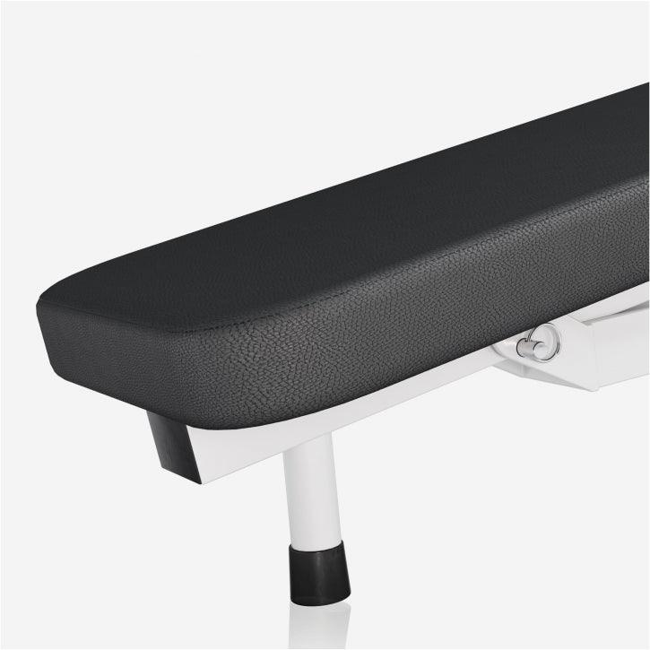 Weight Bench with Dip Station