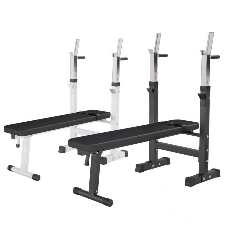 Weight Bench with Dip Station