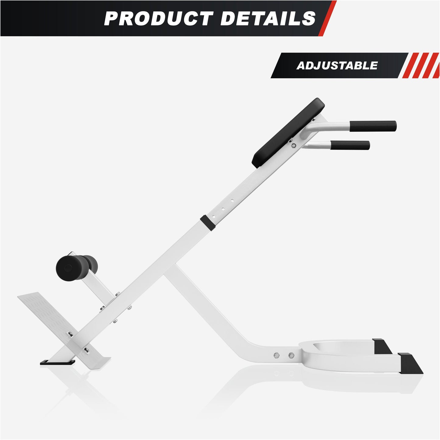 Back Extension Bench