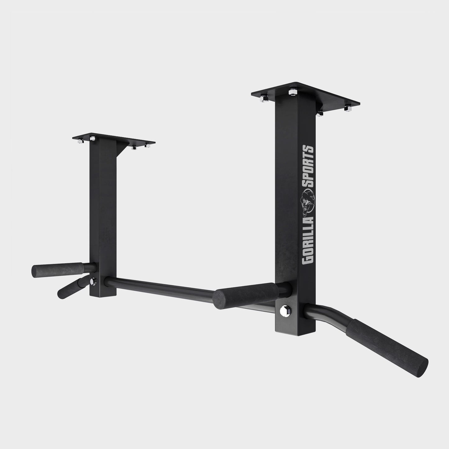 Ceiling-Mounted Pull-Up Bar (Black/White)