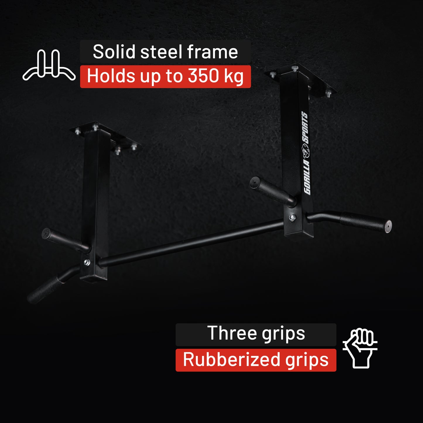 Ceiling-Mounted Pull-Up Bar (Black/White)
