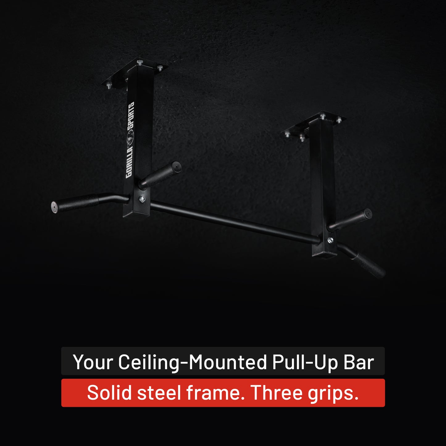 Ceiling-Mounted Pull-Up Bar (Black/White)
