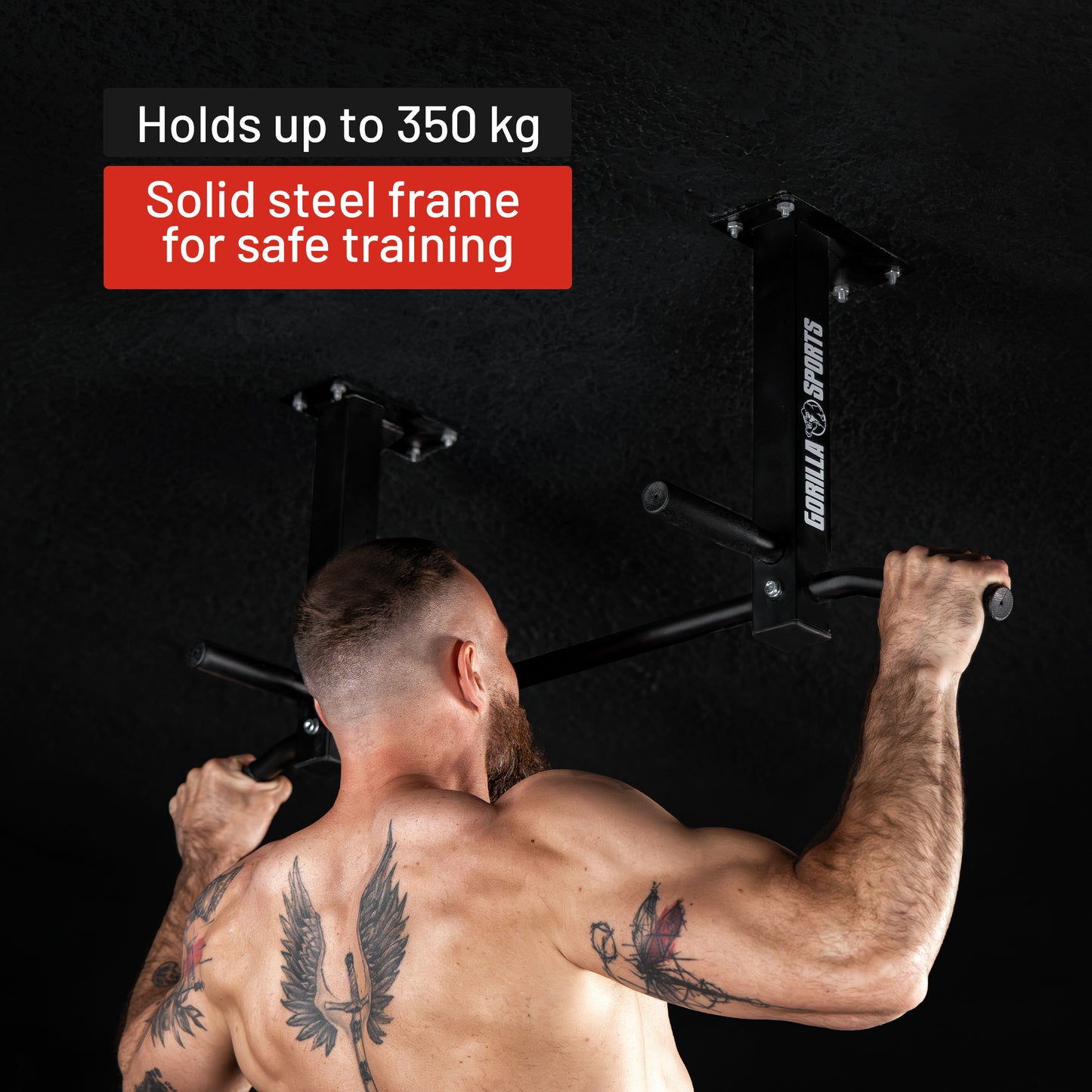 Ceiling-Mounted Pull-Up Bar (Black/White)