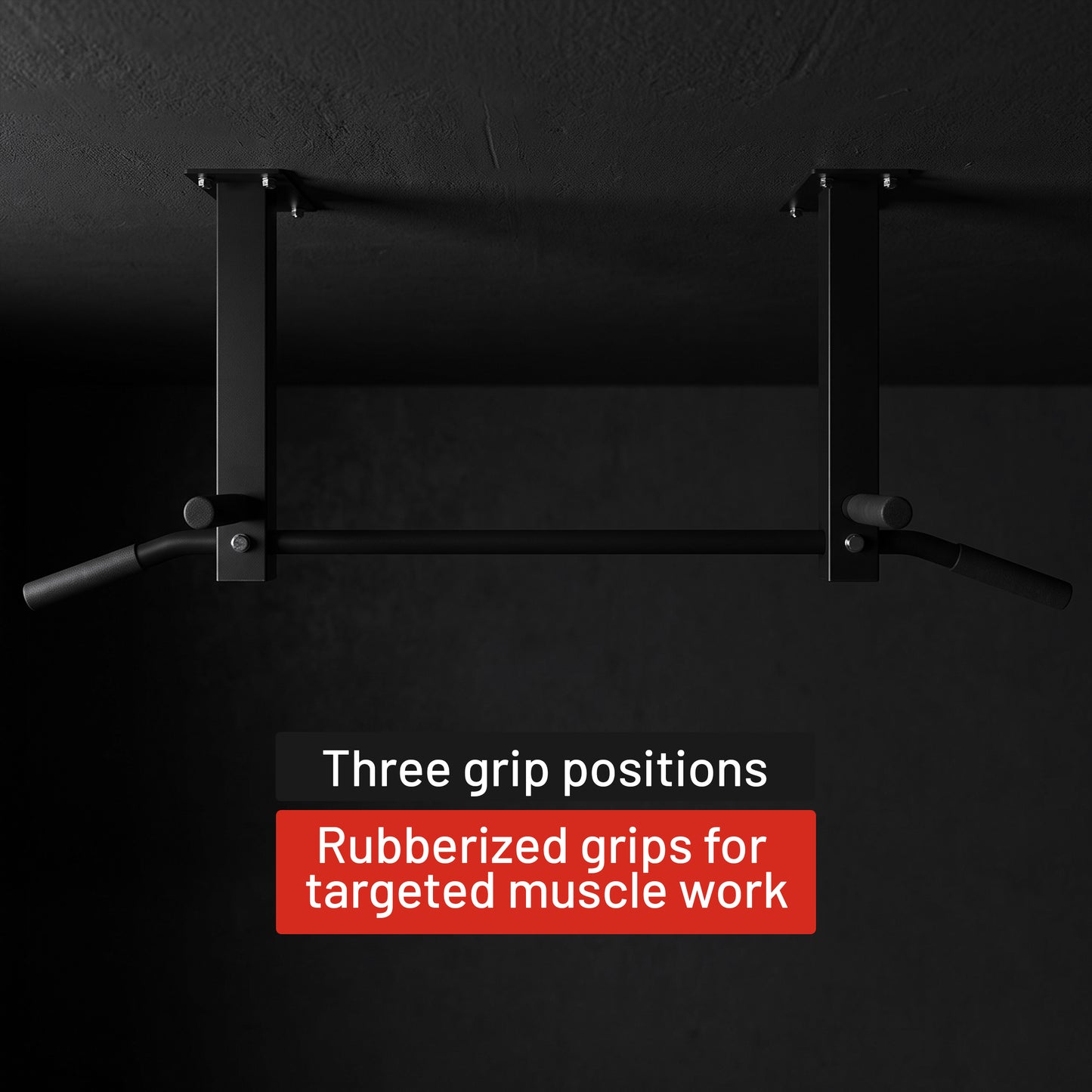 Ceiling-Mounted Pull-Up Bar (Black/White)