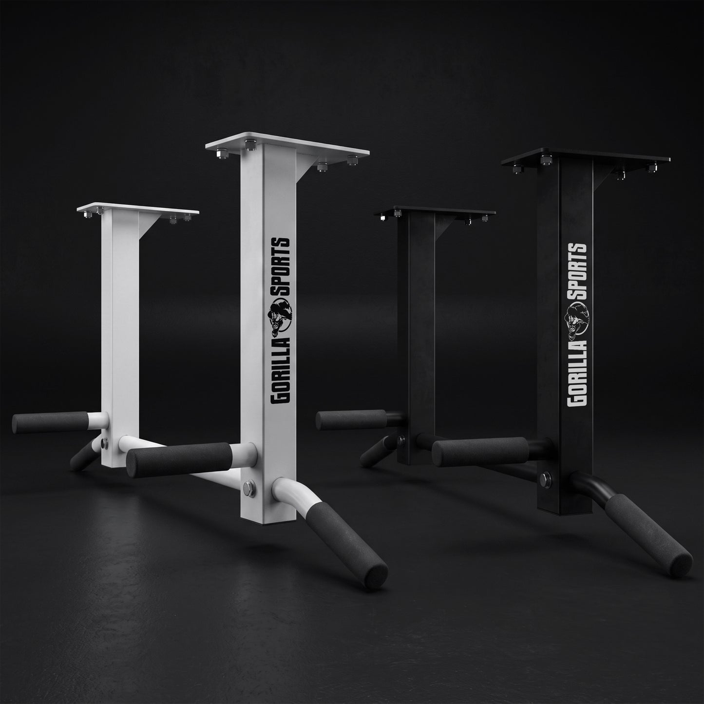 Ceiling-Mounted Pull-Up Bar (Black/White)