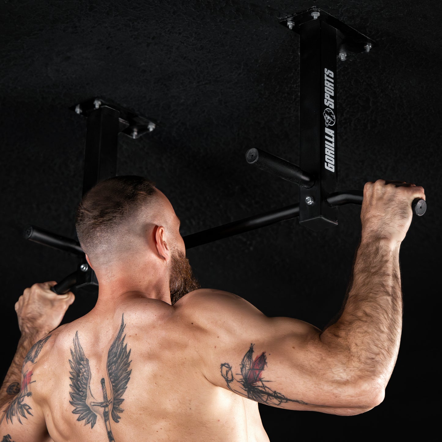 Ceiling-Mounted Pull-Up Bar (Black/White)