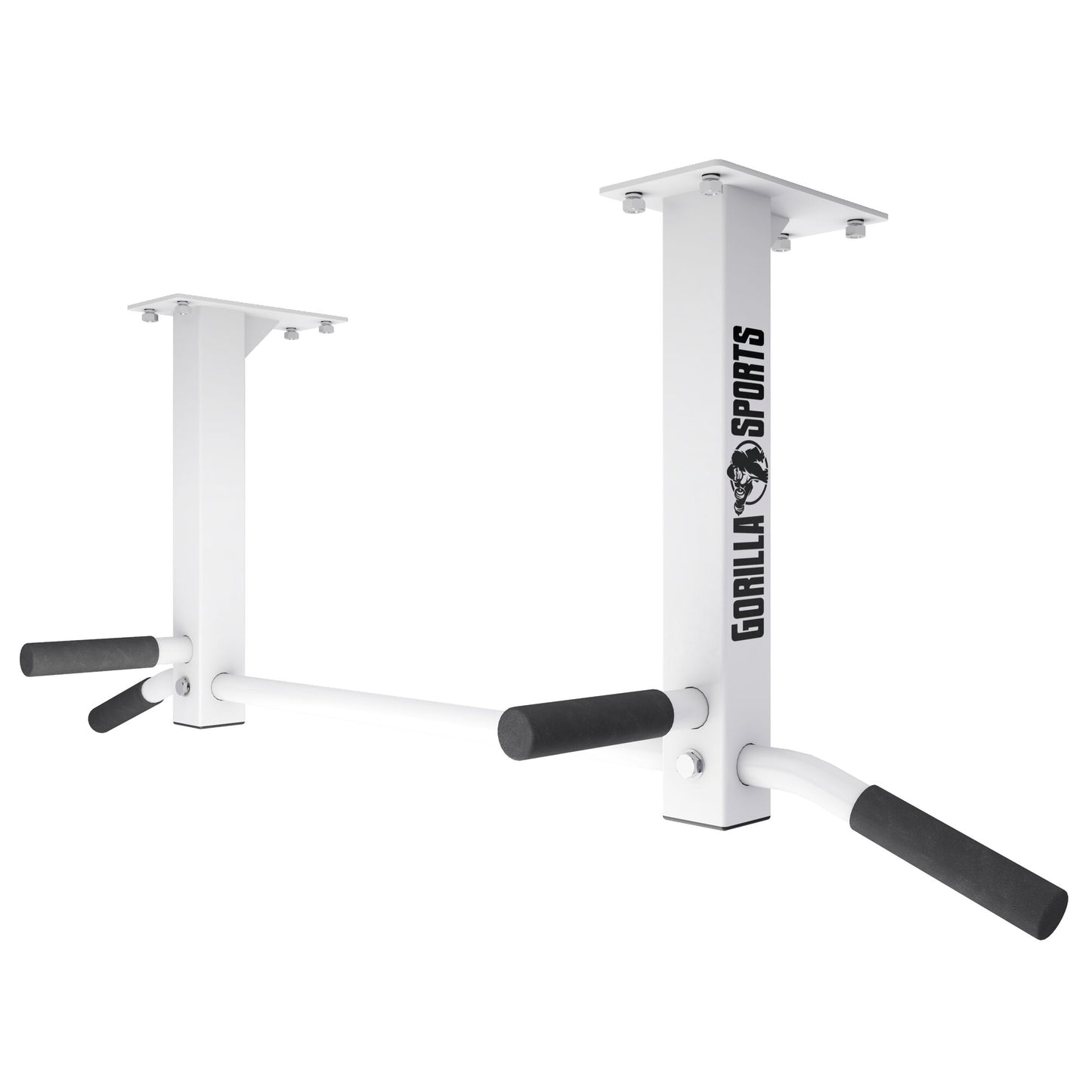 Ceiling-Mounted Pull-Up Bar (Black/White)