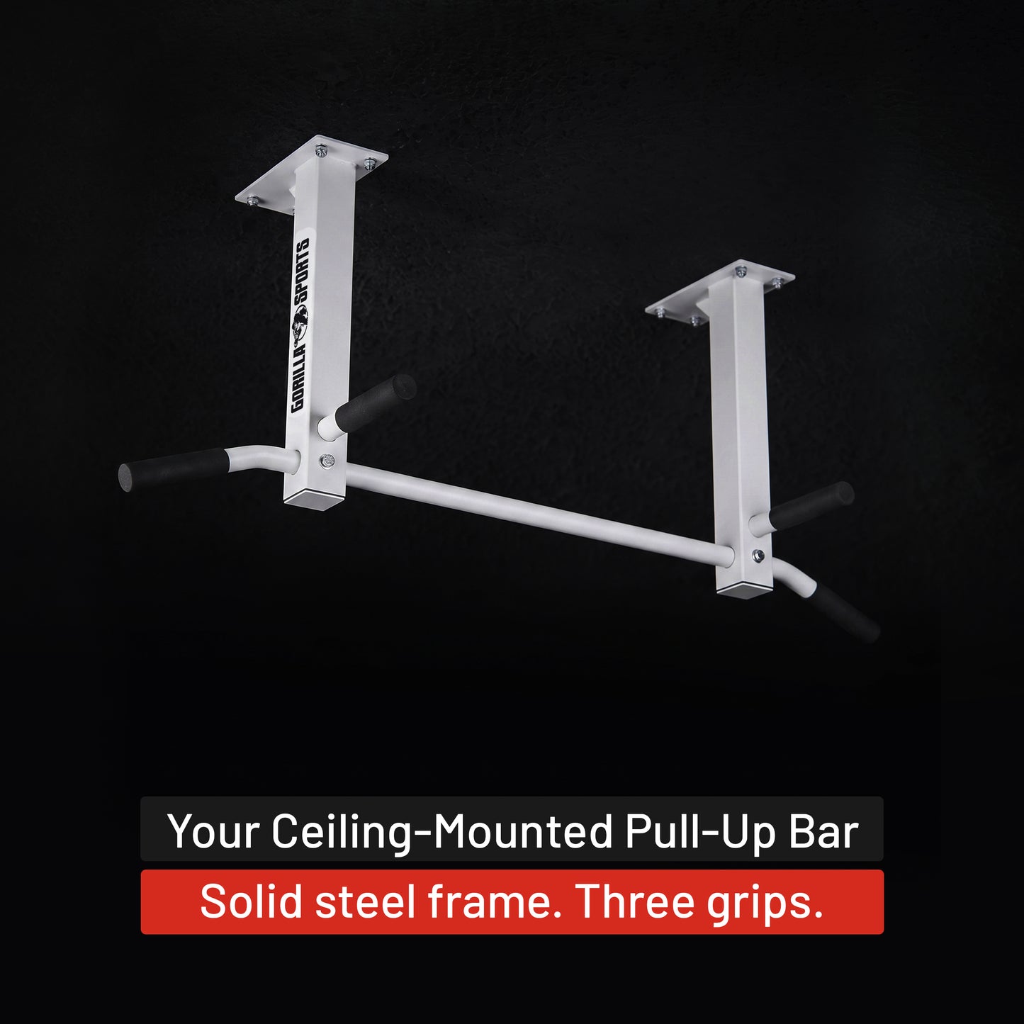 Ceiling-Mounted Pull-Up Bar (Black/White)