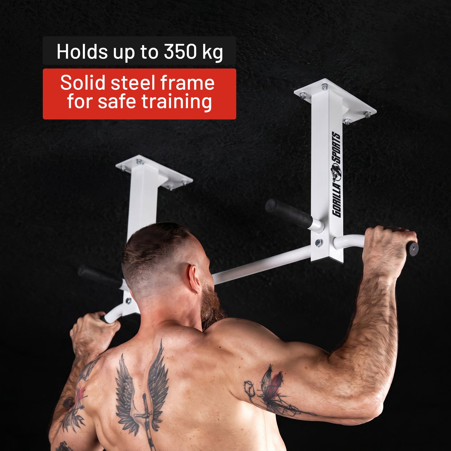 Ceiling-Mounted Pull-Up Bar (Black/White)