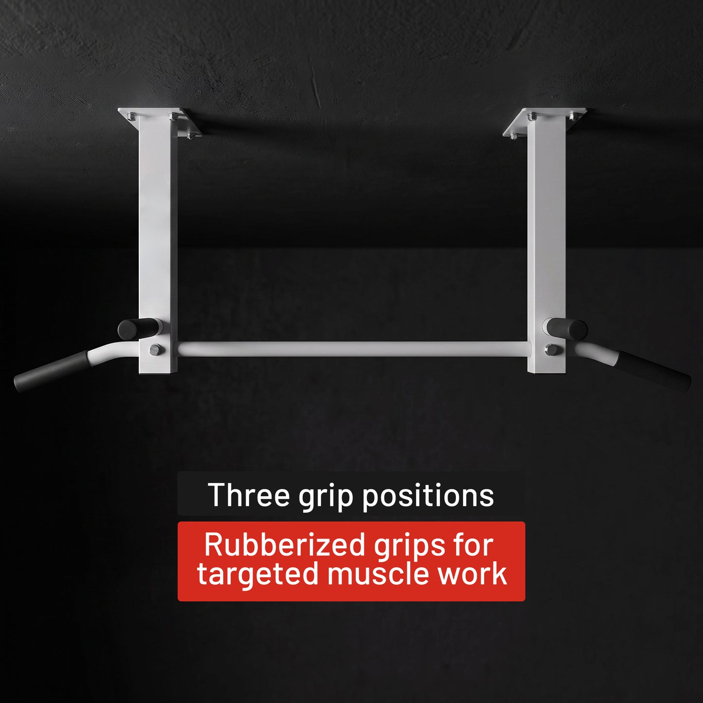 Ceiling-Mounted Pull-Up Bar (Black/White)
