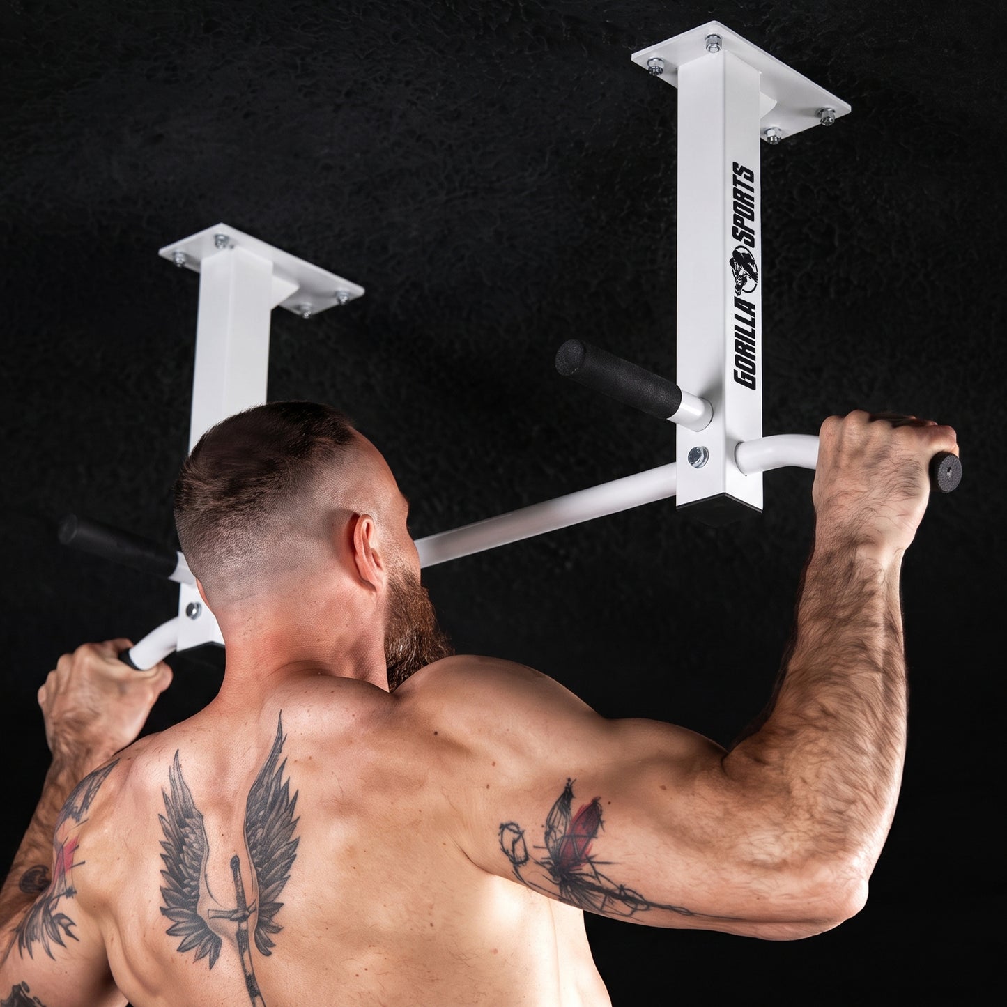 Ceiling-Mounted Pull-Up Bar (Black/White)