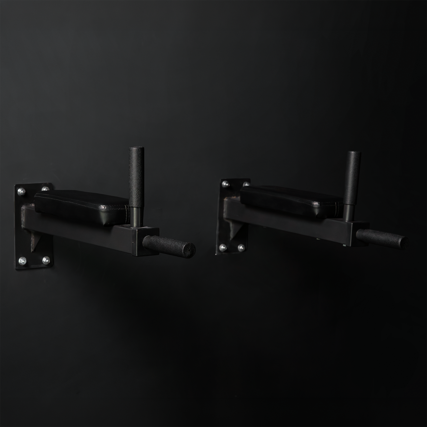 Wall Mounted Dip Bars