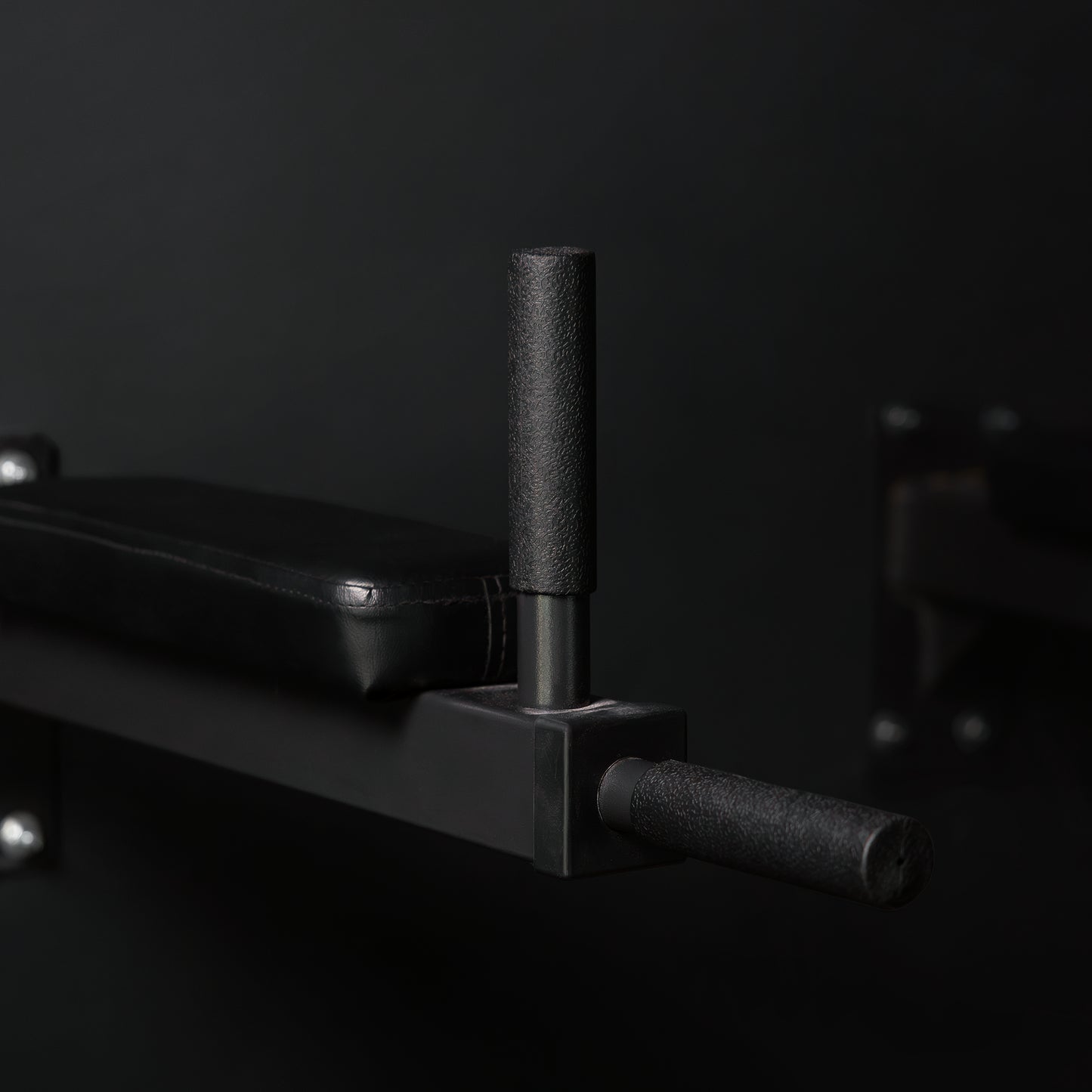 Wall Mounted Dip Bars