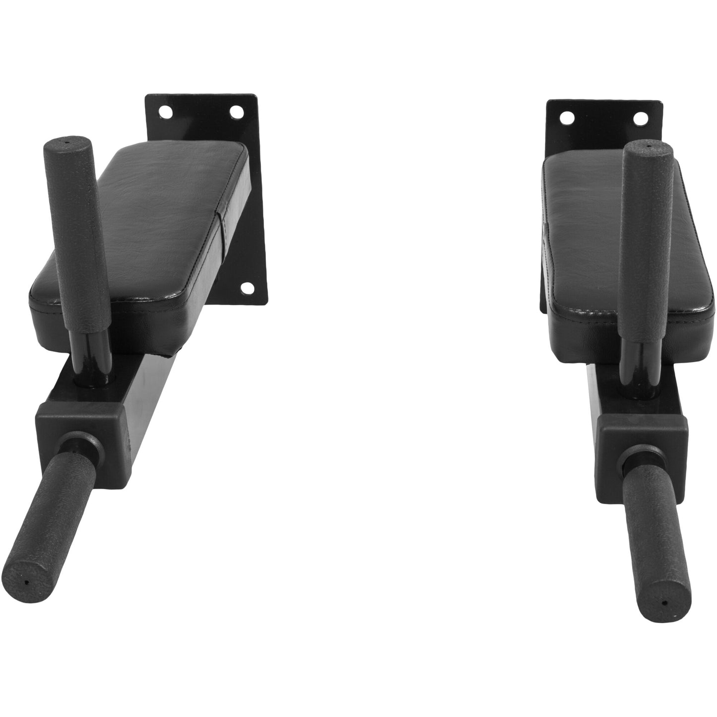 Wall Mounted Dip Bars