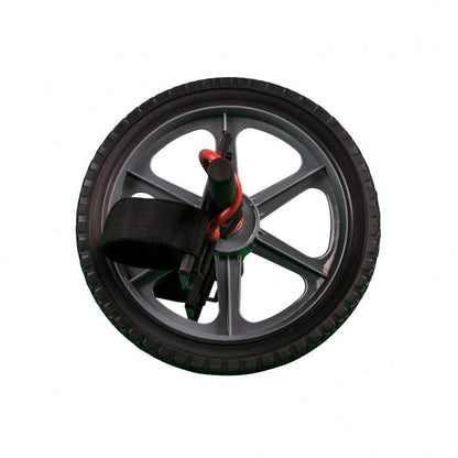 Ab Wheel