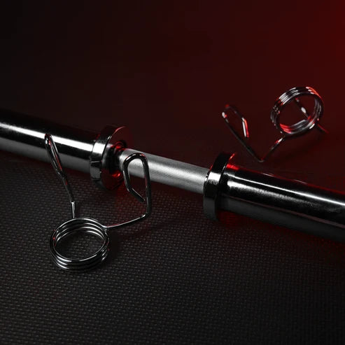 Olympic Dumbbell Bar 50 cm with Spring Collars