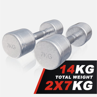 Chrome Dumbbell 1 - 20 kg