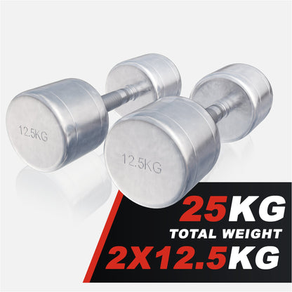 Chrome Dumbbell 1 - 20 kg